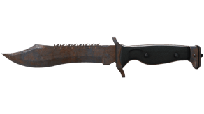 Rust Coat image