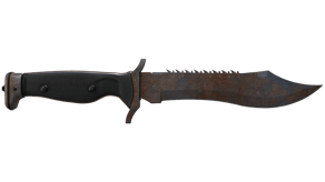 Rust Coat image
