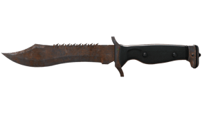 Rust Coat image