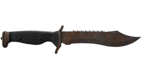 Rust Coat image