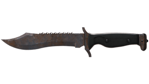 Rust Coat image