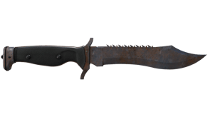 Rust Coat image