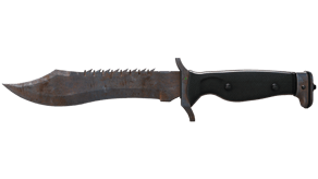 Rust Coat image