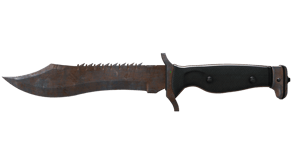 Rust Coat image