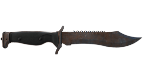 Rust Coat image