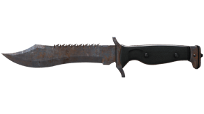 Rust Coat image