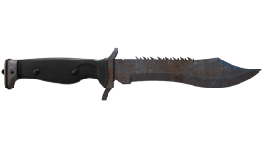 Rust Coat image