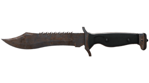 Rust Coat image