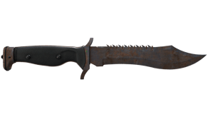 Rust Coat image
