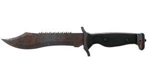 Rust Coat image