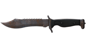 Rust Coat image