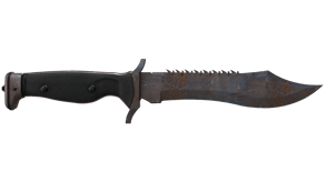 Rust Coat image