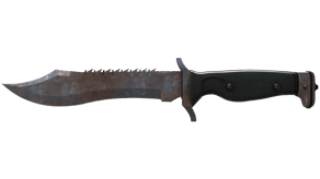 Rust Coat image