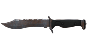 Rust Coat image