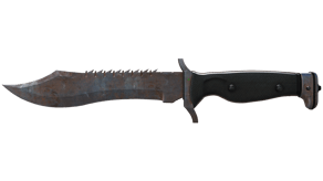 Rust Coat image