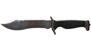 Rust Coat image