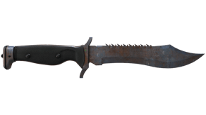 Rust Coat image