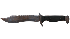 Rust Coat image