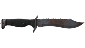 Rust Coat image
