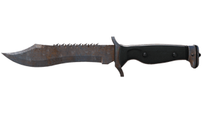 Rust Coat image