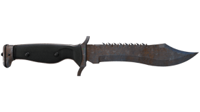 Rust Coat image
