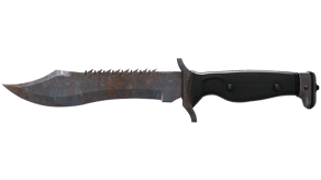 Rust Coat image