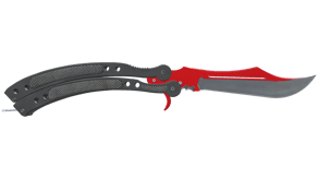 Autotronic image