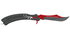 Autotronic image