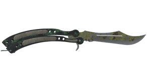 Boreal Forest image