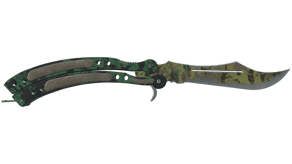 Boreal Forest image