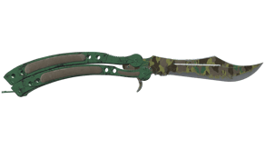 Boreal Forest image