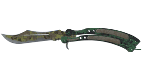 Boreal Forest image