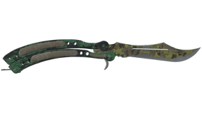 Boreal Forest image