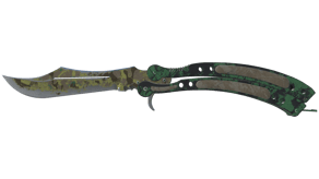 Boreal Forest image