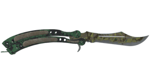 Boreal Forest image