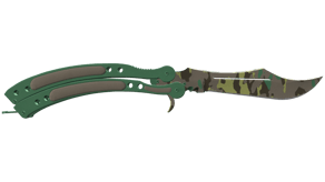 Boreal Forest image