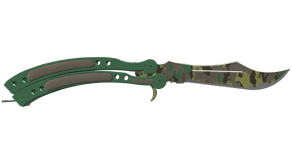 Boreal Forest image