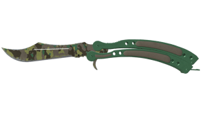 Boreal Forest image