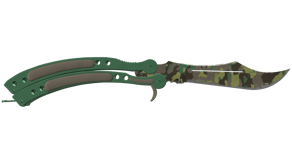 Boreal Forest image