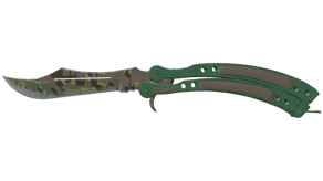 Boreal Forest image