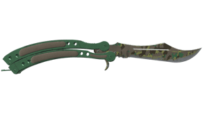 Boreal Forest image