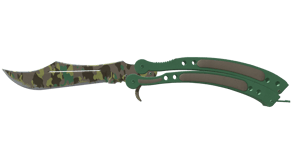 Boreal Forest image