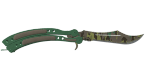 Boreal Forest image