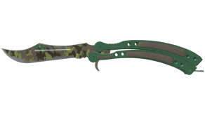 Boreal Forest image
