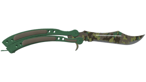 Boreal Forest image