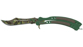 Boreal Forest image