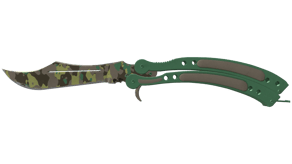Boreal Forest image