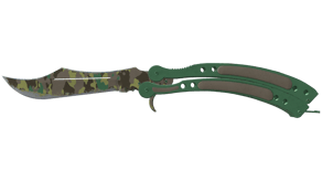 Boreal Forest image