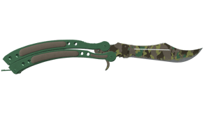 Boreal Forest image