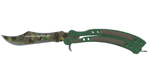 Boreal Forest image